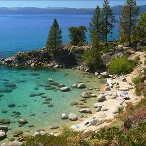 Meet your Posher, Nelson